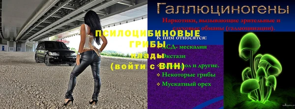 ПСИЛОЦИБИНОВЫЕ ГРИБЫ Бородино